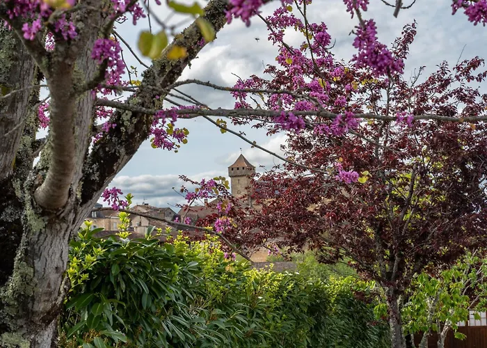 Maison De Frühstückspension 4*